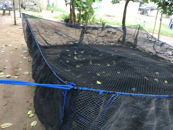 Cage d élevage poisson