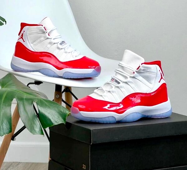Air Jordan 11