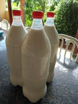 Lait caillé bouteille 1.5L