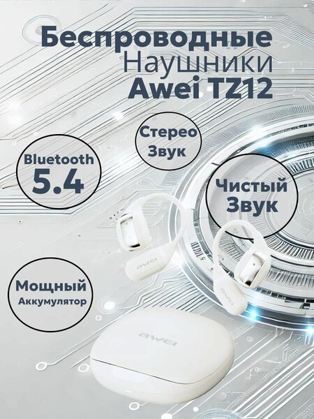 Беспроводные наушники Awei TZ12