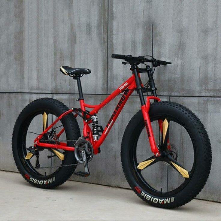 Vélo Fat Bike Tout-Terrain