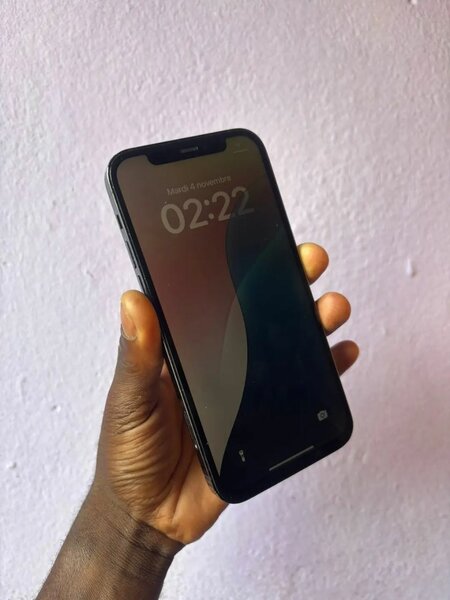 Apple iPhone 12 Pro Max