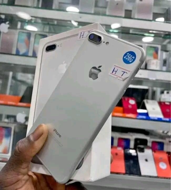 iPhone Gris Argent 256GB