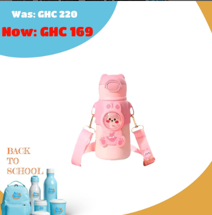 Stainless Steel insulated beverage flask