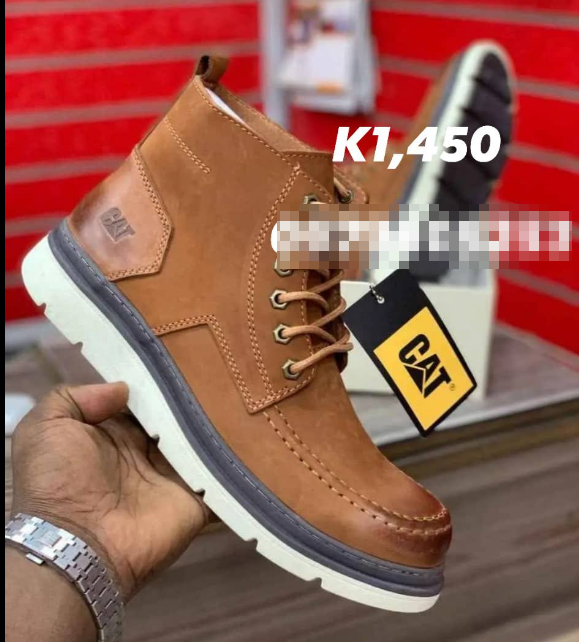 CAT AND TIMBERLAND BOOTS