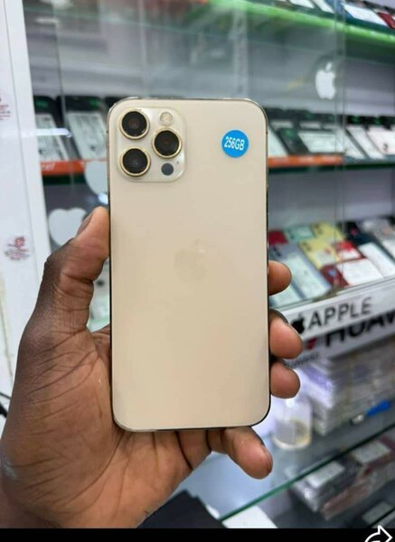 iPhone 13 Pro Neuf Débloqué