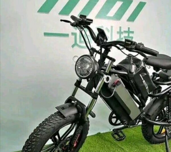 Vélo Électrique Tout-Terrain