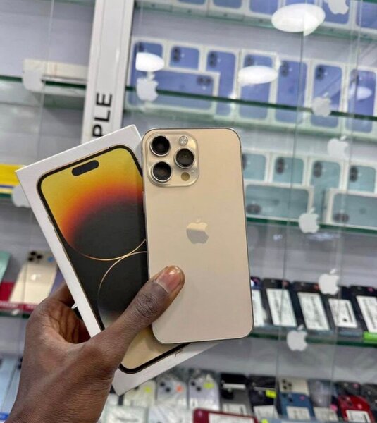 iPhone 13 Pro 256Go Doré