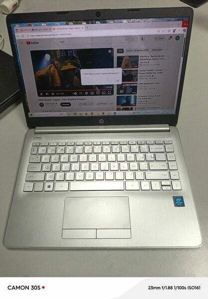 Hp gris 14"