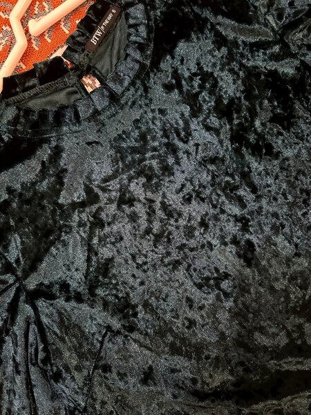 Velvet blouse