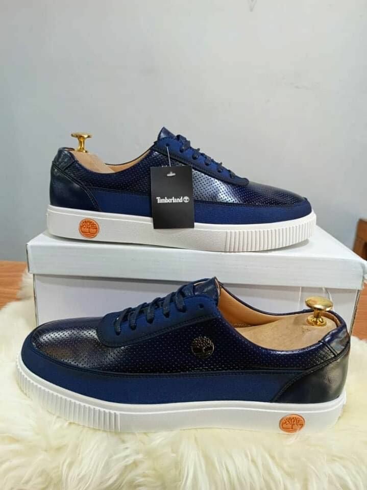 Chaussures Timberland