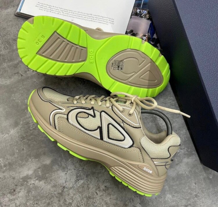 Dior CD sneakers