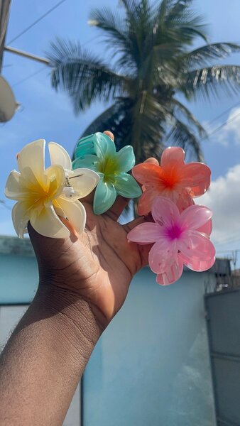 Une Pince en fleur