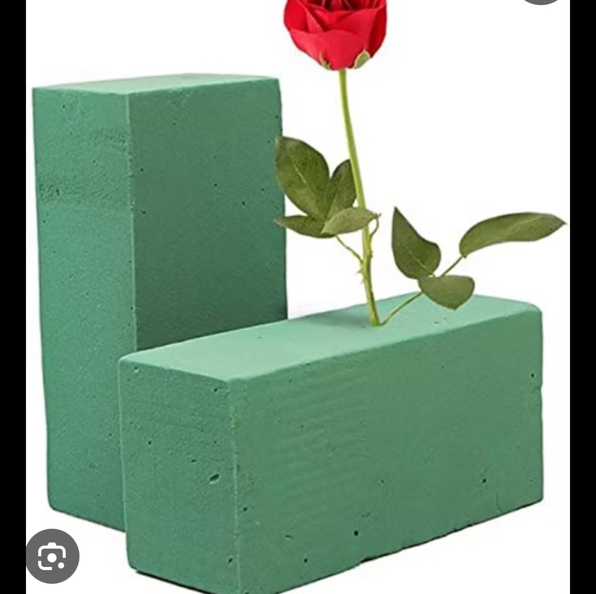 Bloc de mousse florale Oasis