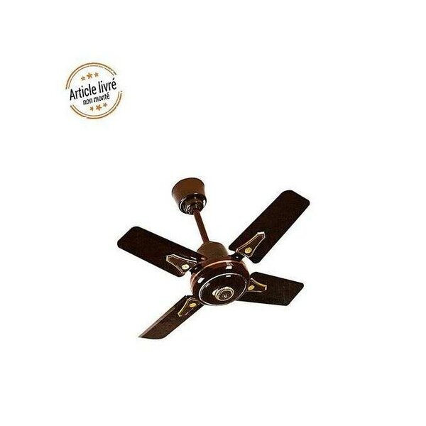 Ventilateur de plafond moderne