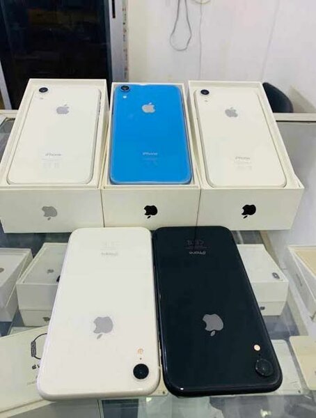iPhone 11 Blanc Neuf