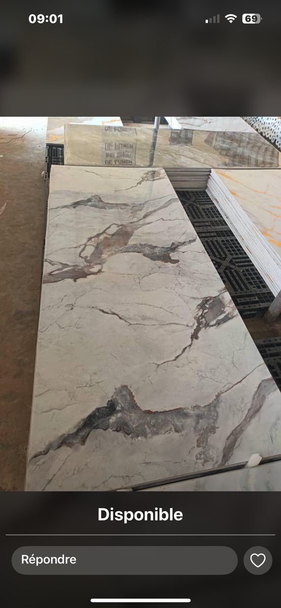 Carrelage marbré élégant