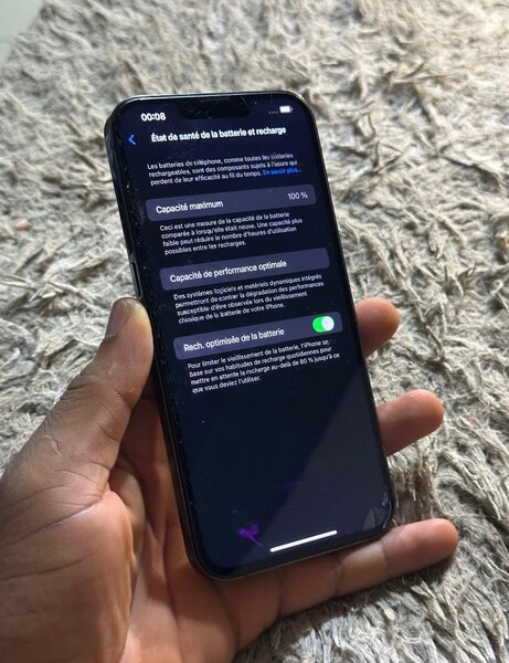 iPhone 13 Pro Max Vert Forêt