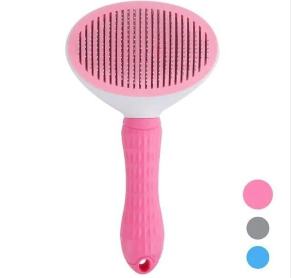 Éponge de de chiens et chats