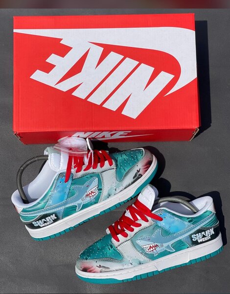 NIKE SB CUSTOM