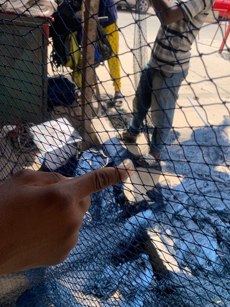 Filet 1 dois pour élevage