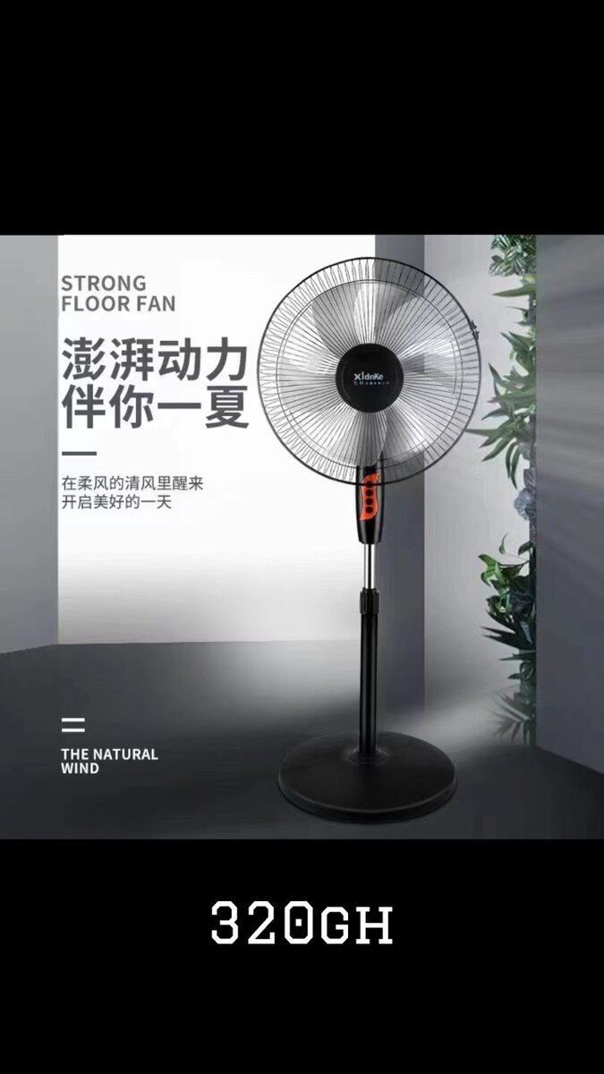 Standing Fan (16inches)