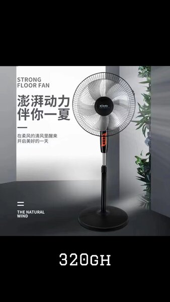 Standing Fan (16inches)
