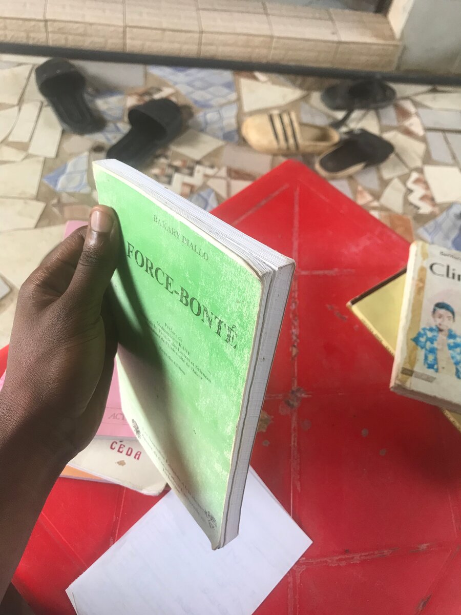 Livre "Force-Bonté" de B. Diallo