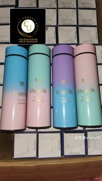 Gourde Isotherme Intelligente 500ml