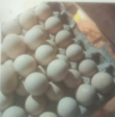 Dasi egg 12pcs