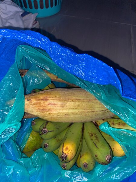 Bananes naturelles fraîches