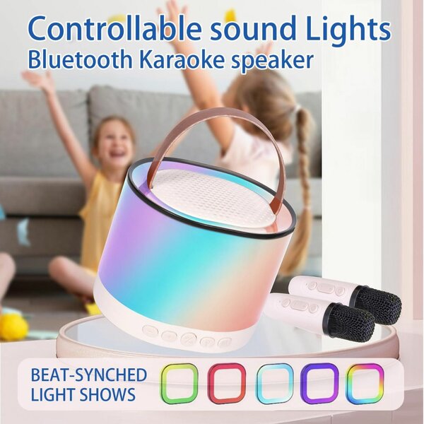 Karoke speaker with 2 mics