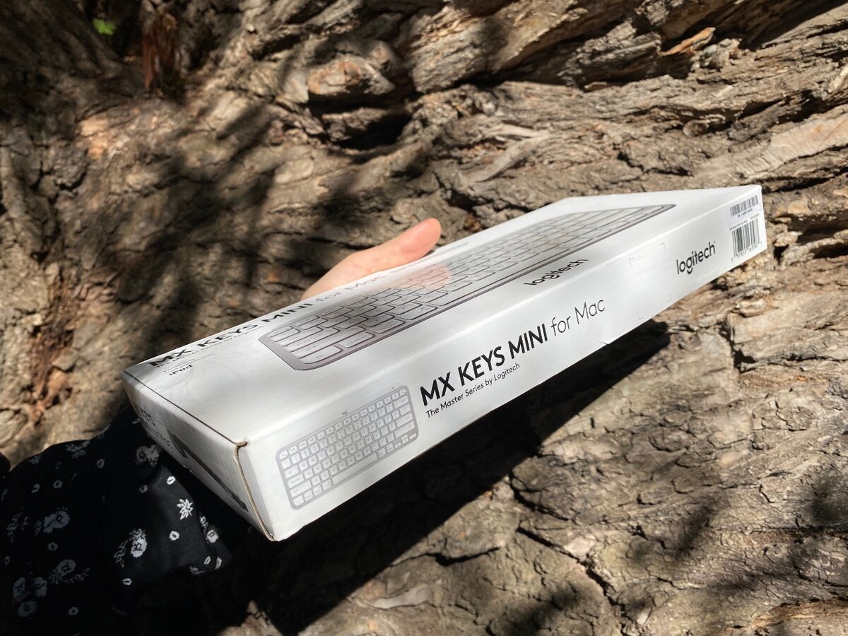 Клавиатура Logitech MX Keys Mini for Mac