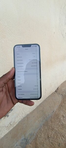 iPhone 13 pro Max 256gb