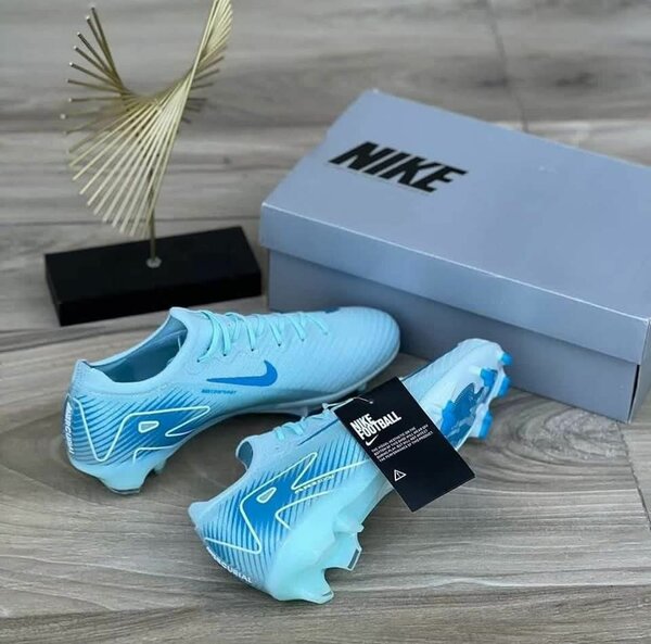 Paire de magre