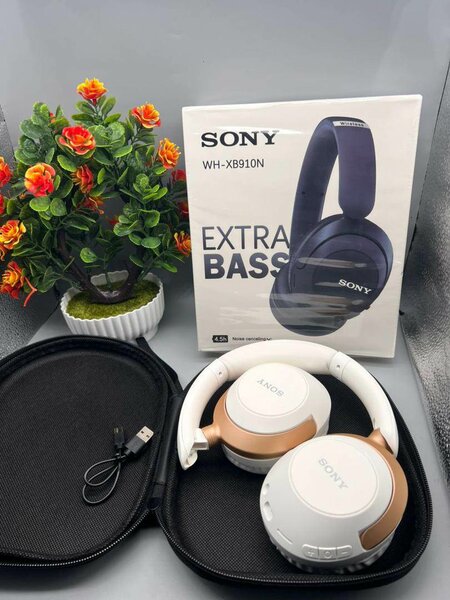 Casque Bluetooth Sony