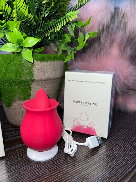 Rose licker vibrator
