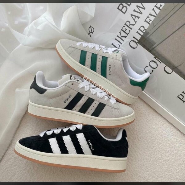 Adidas campus original