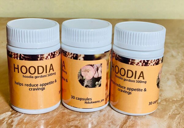 Caralluma  and hoodia