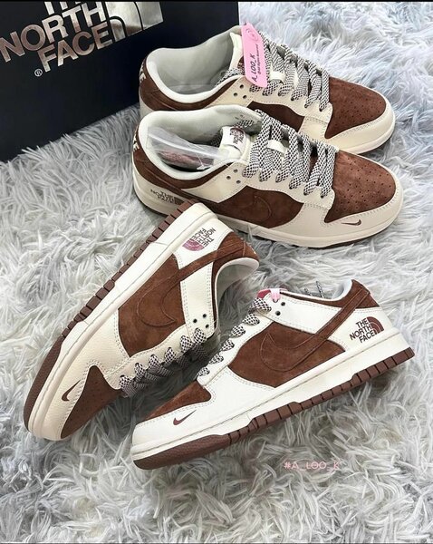 Nike SB Dunks X The Northface