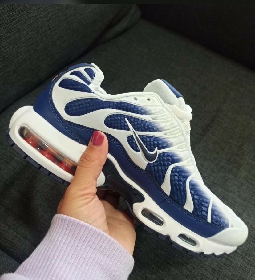 Basket NIKE TN authentique dans carton