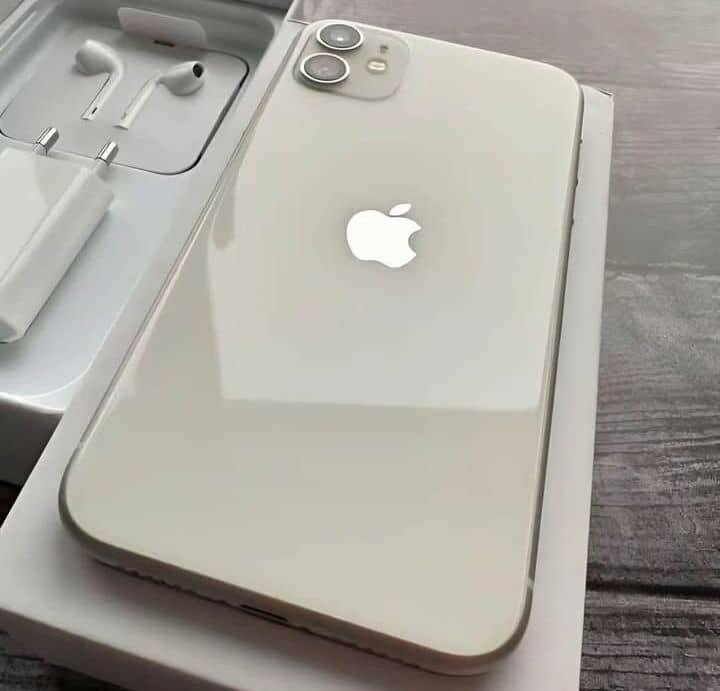 Apple iPhone 11 Blanc 64Go