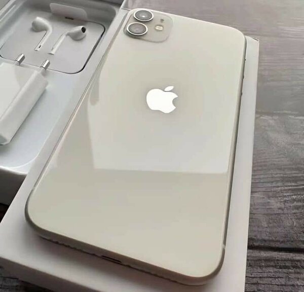 Apple iPhone 11 Blanc 64Go
