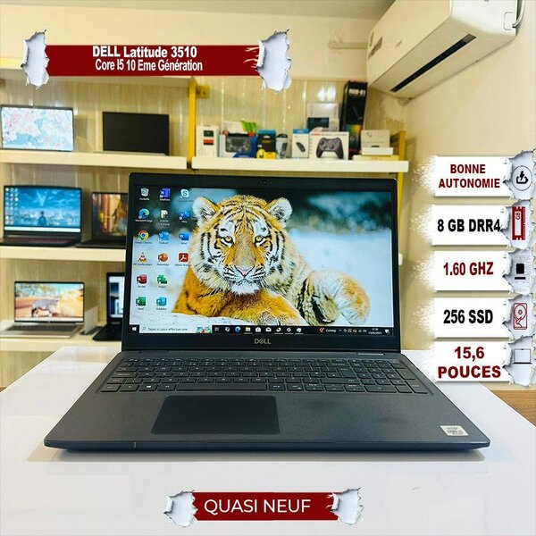 Dell Latitude 3510 i5 10e Gen