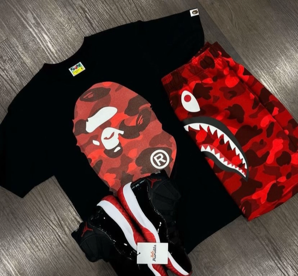 Ensemble bape avec chaussures