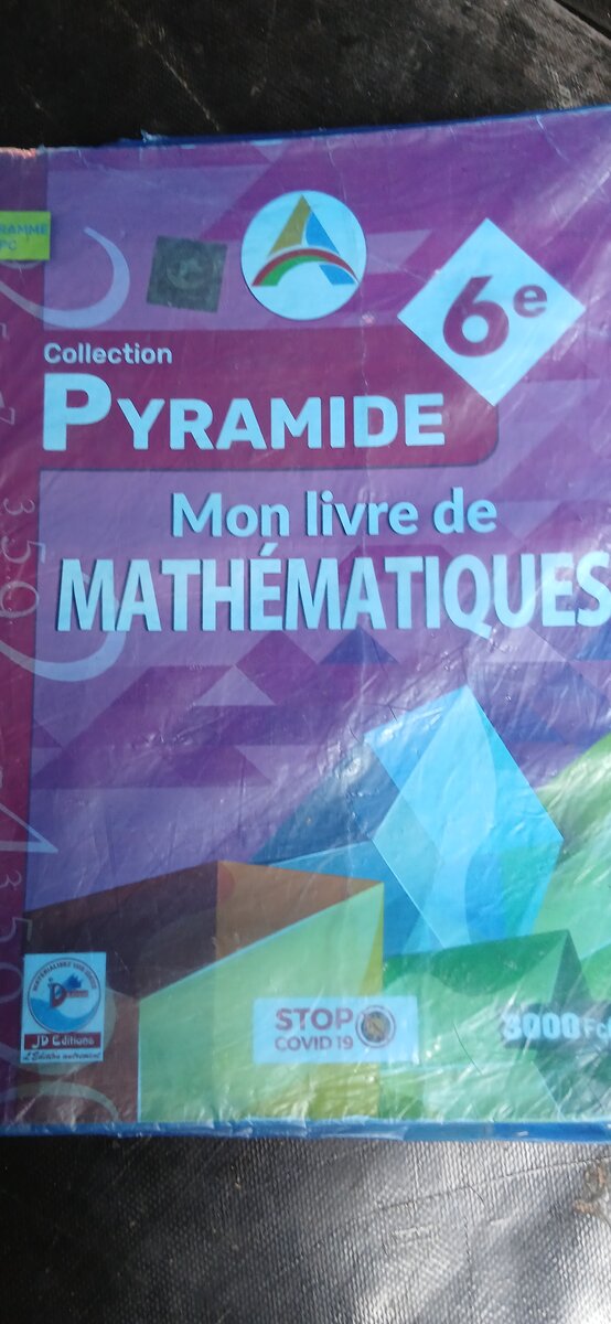 Livre Mathématiques Collection Pyramide