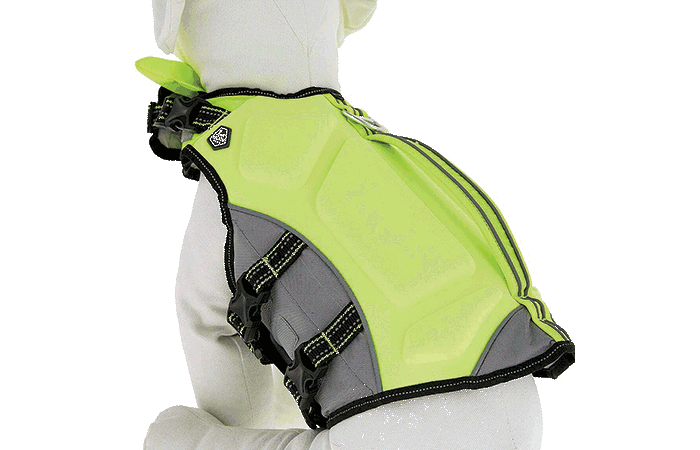 Gilet de sécurité pour chien