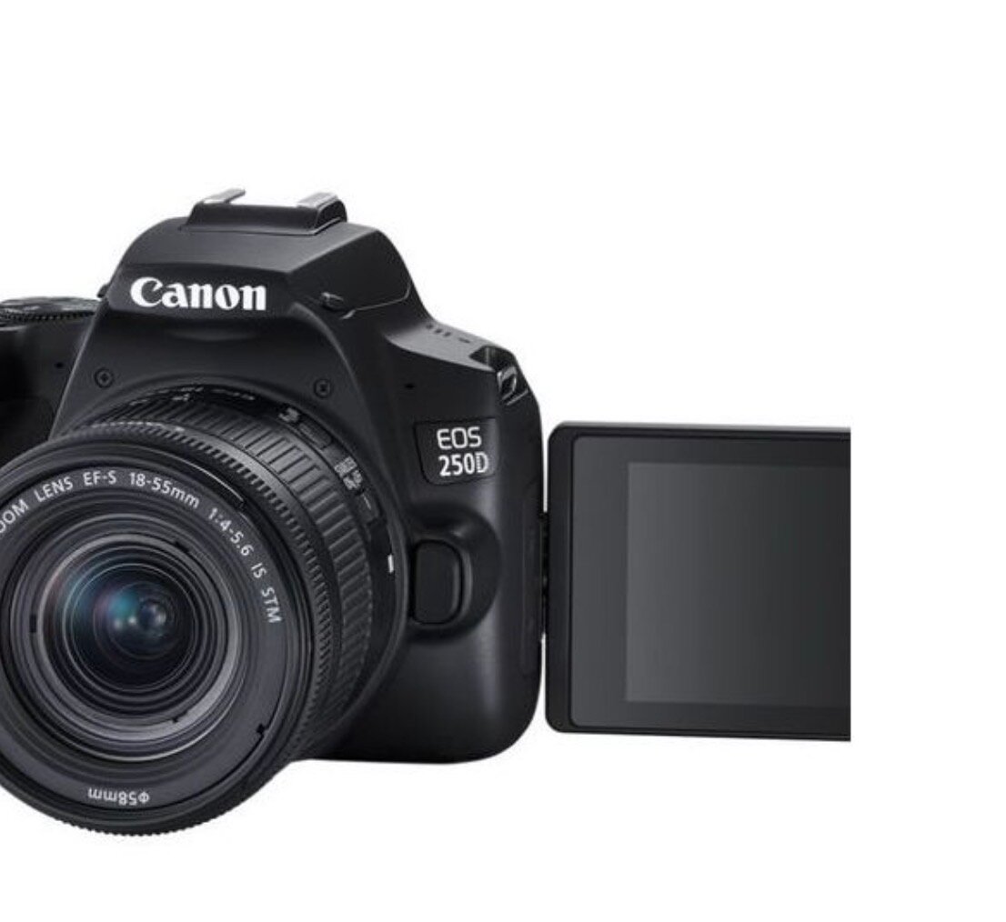 Appareil Photo Canon EOS 250D