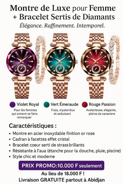 Montre Femme Luxe Diamant