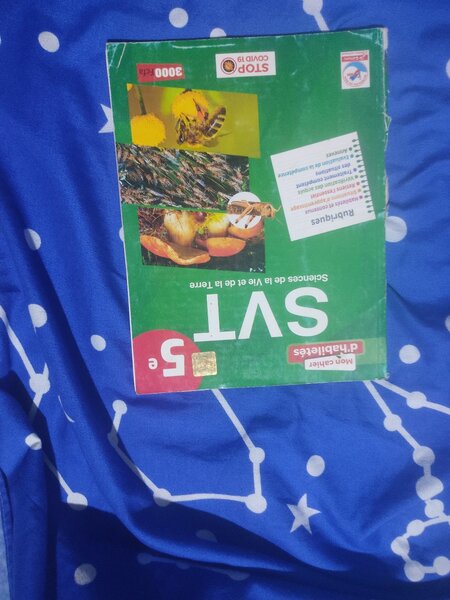 Lot de manuels scolaires 5e